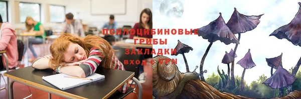твердый Горняк