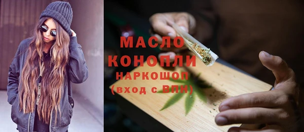 твердый Горняк