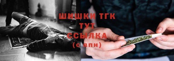 твердый Горняк