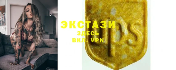 твердый Горняк