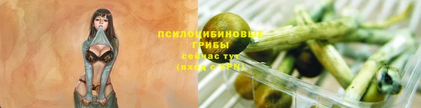 стаф Горнозаводск