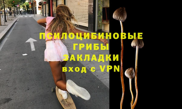 твердый Горняк