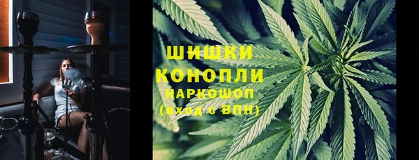 стаф Горнозаводск