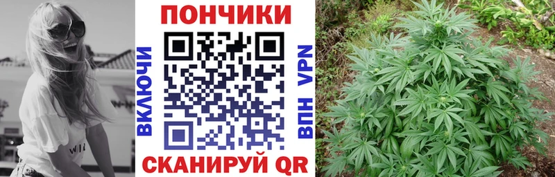 Каннабис OG Kush Белоярский